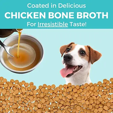 Limited Ingredient Bland Diet Chicken & Brown Rice Recipe with Pumpkin Dry Dog Food 20 lb