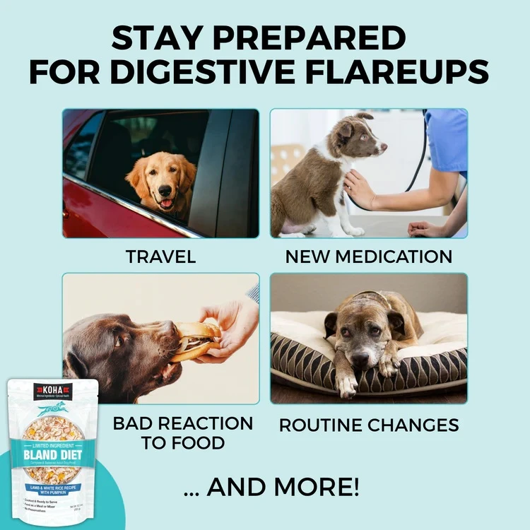 Limited Ingredient Wet Bland Diet Lamb & White Rice Recipe for Dogs 12.5 oz