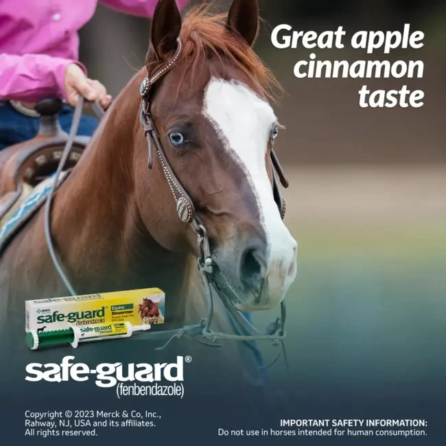Equine Dewormer 10% (fenbendazole) Paste 25G