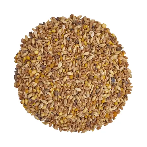 Organic Grower Mash Chicken & Duck Feed 40 lb