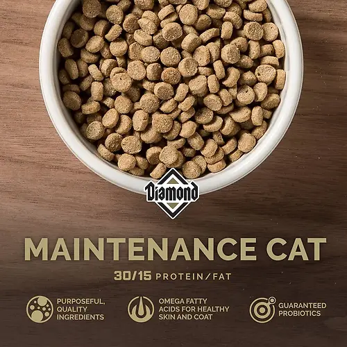 Maintenance Cat Food for Moderately Active Adult Cats 20 lb