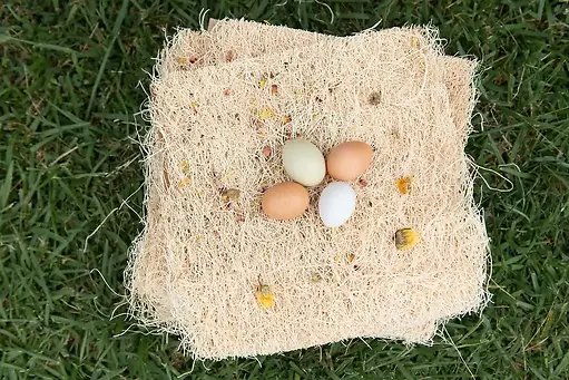 Chicken Nesting Pads with Aromatic Nest Herbs 10 Pack