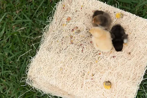 Chicken Nesting Pads with Aromatic Nest Herbs 10 Pack