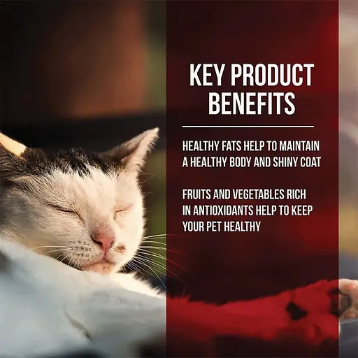 Market Fresh Chicken & Turkey Meal Recipe Dry Cat Food 3.5 lb