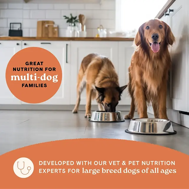 All Life Stages Large Breed Multi-Protein Recipe Dry Dog Food 40 lb