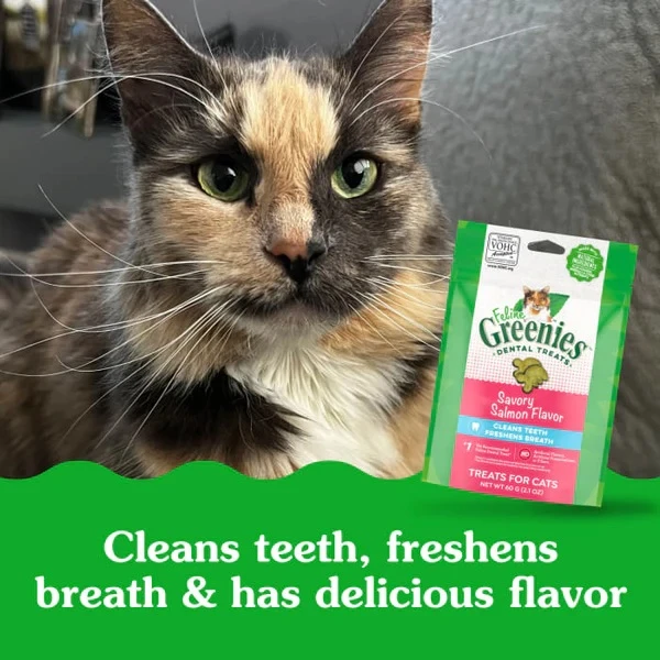 Feline Natural Dental Car Savory Salmon Flavor Cat Treats 4.6 oz