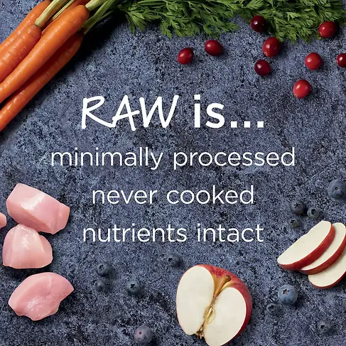Raw Boost Grain-Free Recipe Real Chicken Recipe Kibble + Raw Dry Cat Food 5 lb