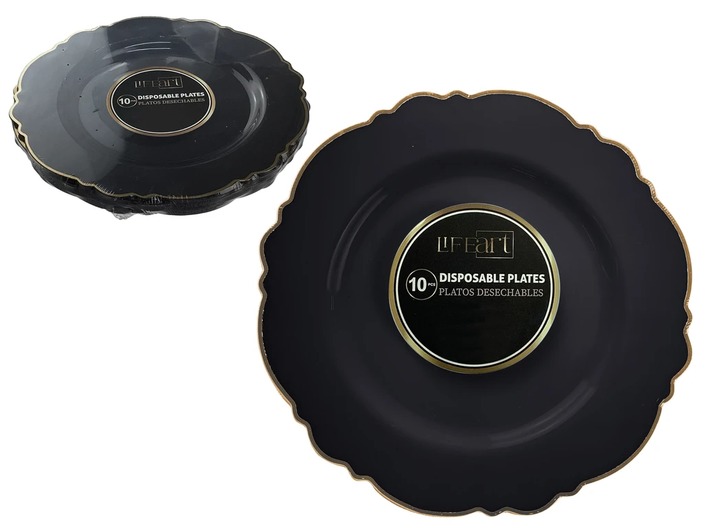 Set of 10 PCS Disposable Plates – Black