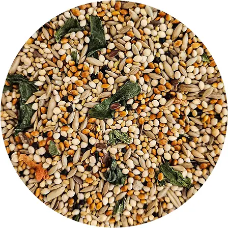 Sweet Harvest Finch Vitamin Enriched Food 2 lb