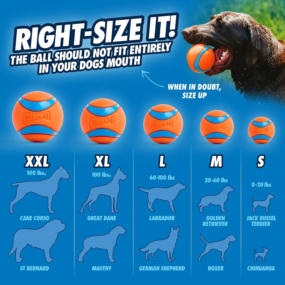 Ultra Ball Dog Toy Medium 2-Pack