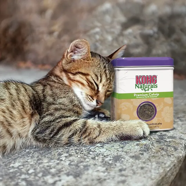Naturals Premium Catnip 1 oz