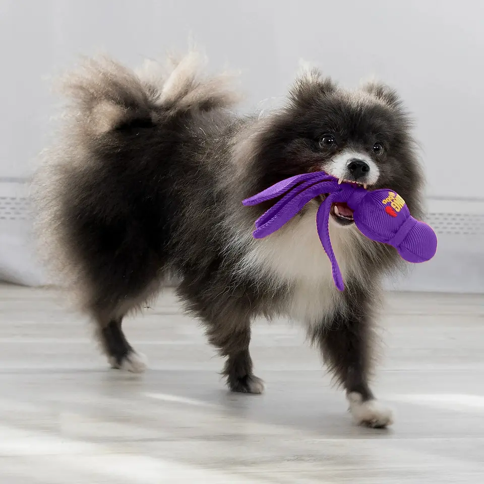 Wubba Classic Dog Toy Assorted Colors Small