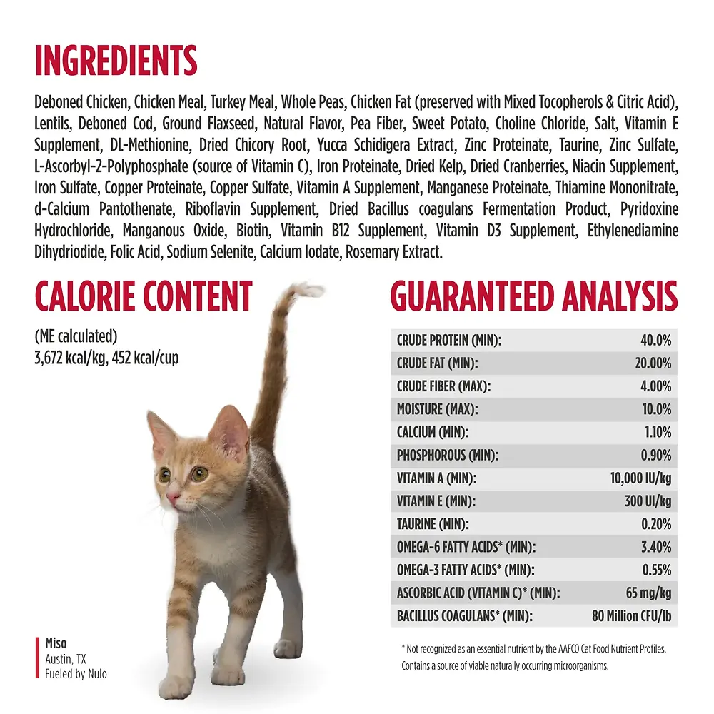 Freestyle Cat & Kitten Chicken & Cod Recipe High-Protein Kibble 2 lb