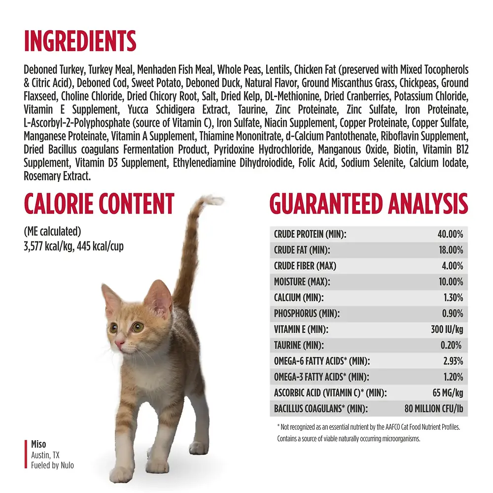 Freestyle Cat & Kitten Turkey & Duck Recipe High-Protein Kibble 5 lb
