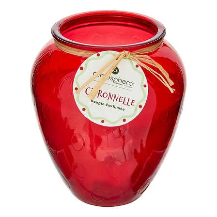 Fruity Scented Candle Assorted Citronella Glass Jar -  550 Grams