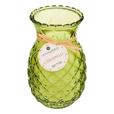 Fruity Scented Candle Assorted Citronella Glass Jar - 600 Grams