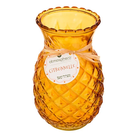 Fruity Scented Candle Assorted Citronella Glass Jar - 600 Grams