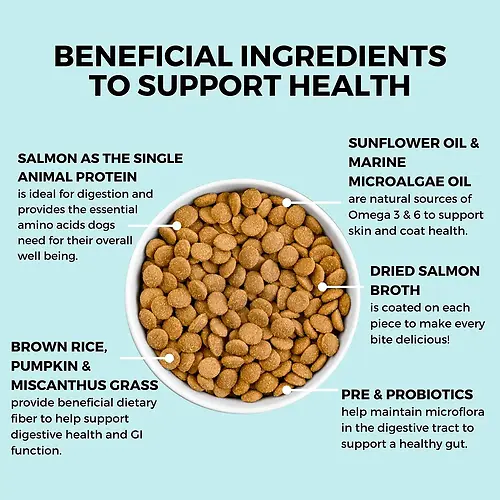 Limited Ingredient Bland Diet Salmon & Brown Rice Recipe with Pumpkin Dry Dog Food 3.5 lb