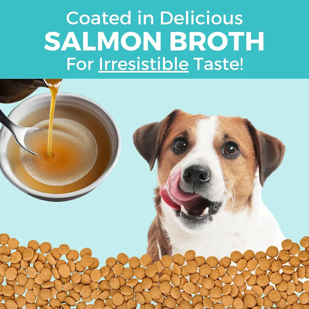 Limited Ingredient Bland Diet Salmon & Brown Rice Recipe with Pumpkin Dry Dog Food 3.5 lb