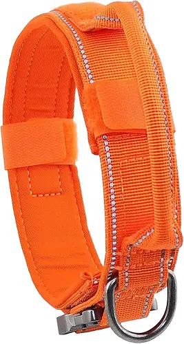 Tactical Dog Collar – Orange Extra Large