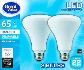 P30 Large Neck LED Bulb – E26 9 Watt