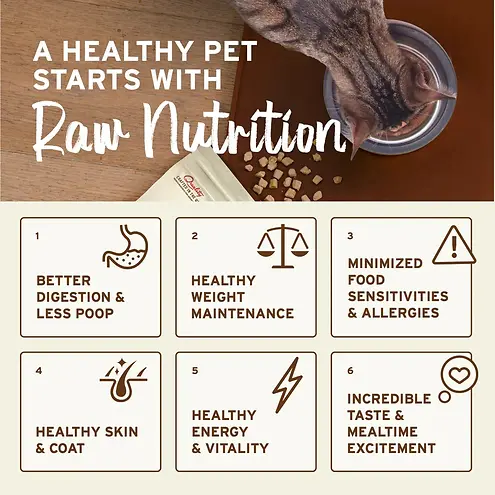 Frozen Raw Scoopable Pronto Venison Recipe Cat Food 1 lb
