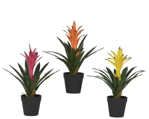 Artificial Bromelia Plant in Pot Polyester – Assorted Colours