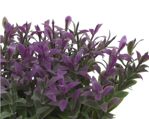 Artificial Aquatic Plant in Pot – Assorted Colours