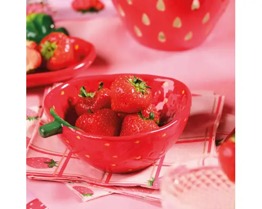 Strawberry Bowl Dolomite – Red