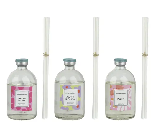 Glass Diffuser – Assorted Designs