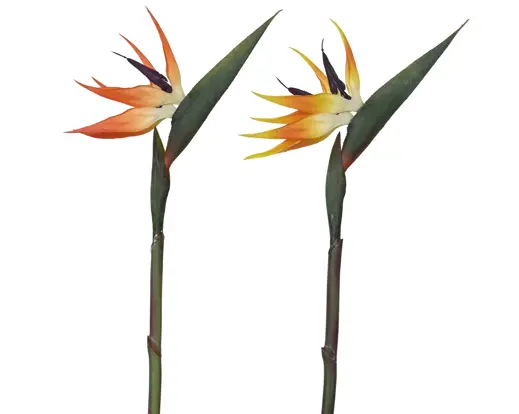 Artificial Flower Strelitzia on Stem