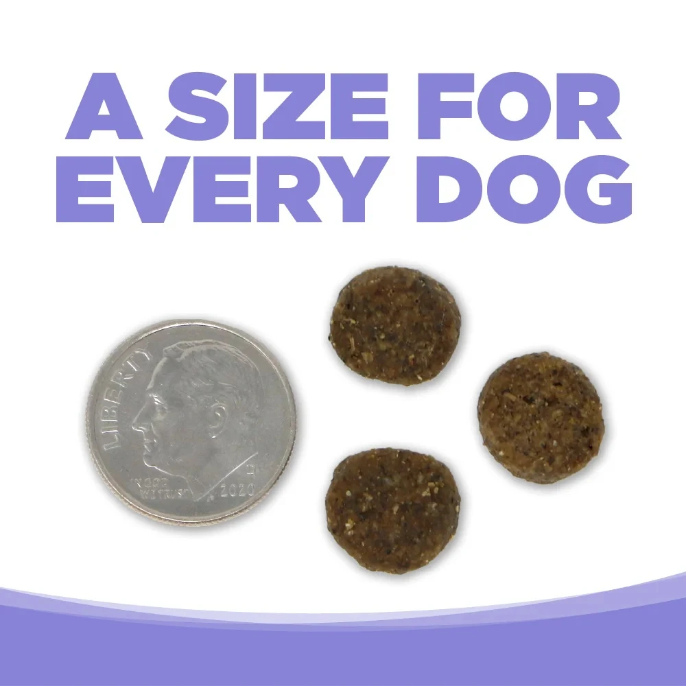 Limited Ingredient Lamb & Pumpkin Entrée Grain-Free Dry Dog Food 4 lb