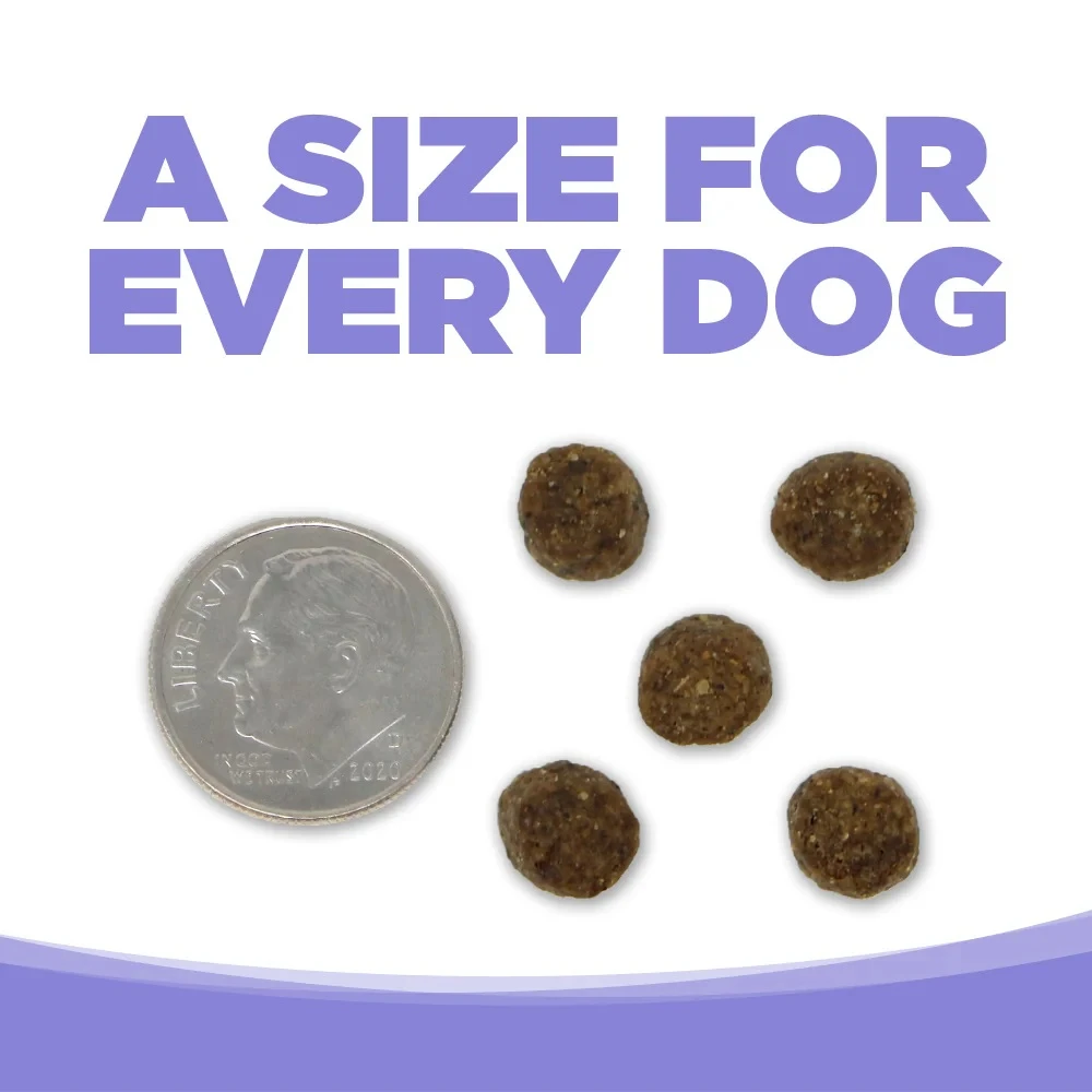 Limited Ingredient Puppy Lamb & Pumpkin Entrée Grain-Free Dry Dog Food 12 lb
