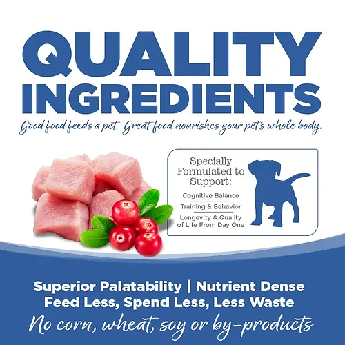 Limited Ingredient Turkey & Cranberry Entrée Grain-Free Dry Dog Food 4 lb