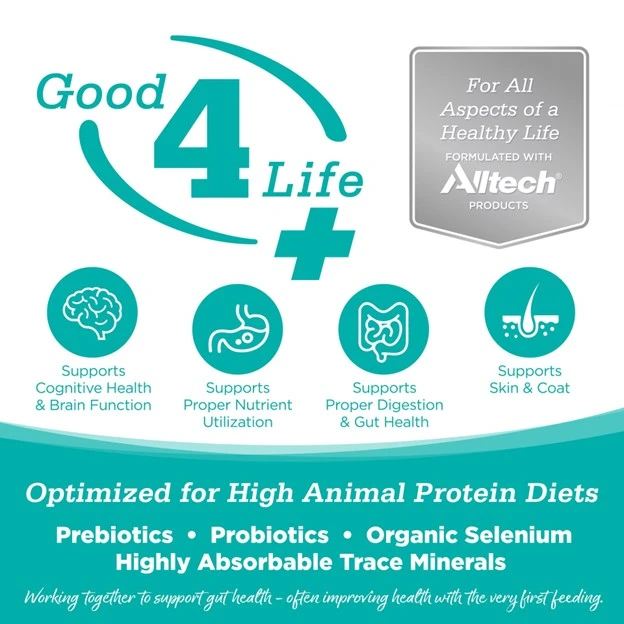 Element Series Classic Catch Grain-Free Dry Cat Food 4 lb