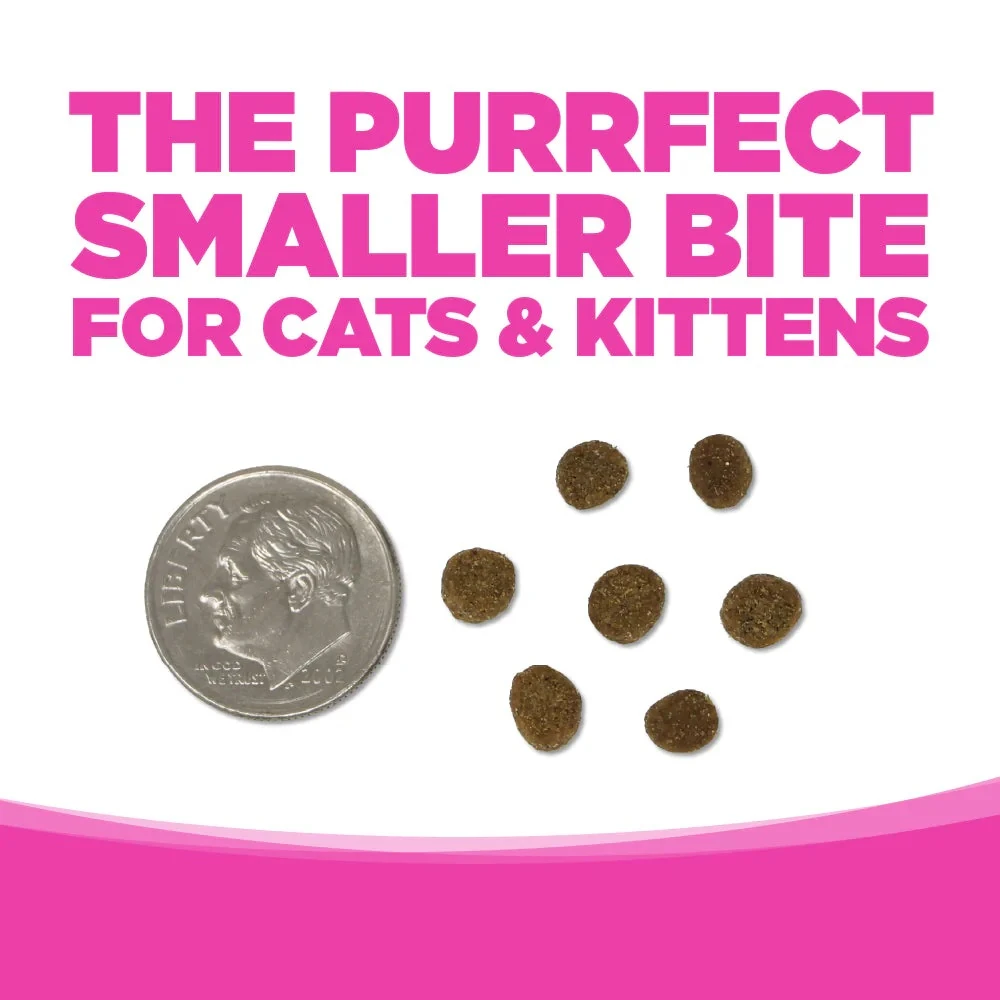 Element Series Classic Catch Grain-Free Dry Cat Food 4 lb