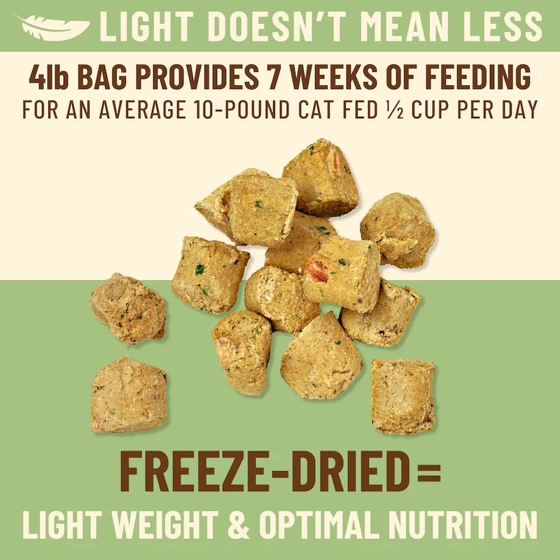 Kibble in the Raw Chicken Recipe Dry Cat Food 1.5 lb