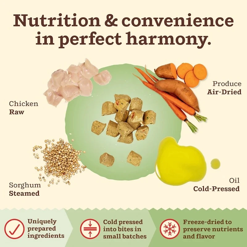 Kibble in the Raw Chicken Recipe Dry Cat Food 1.5 lb