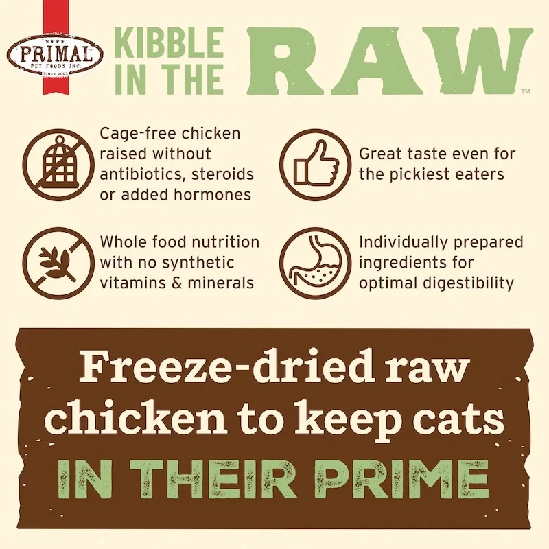 Kibble in the Raw Chicken Recipe Dry Cat Food 1.5 lb