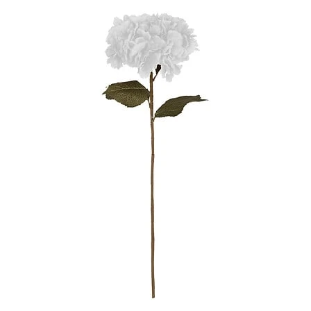 Hydrangea Stem White - 83 Centimeter