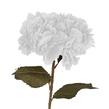Hydrangea Stem White - 83 Centimeter