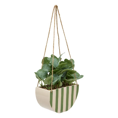 Chéri Hanging Plant - Height 27 Centimeter - Assorted Ceramic Pot