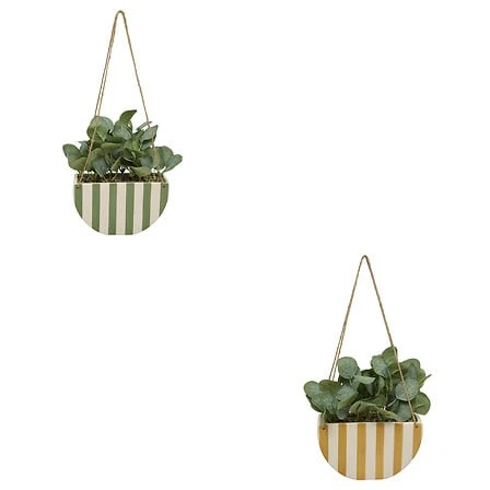 Chéri Hanging Plant - Height 27 Centimeter - Assorted Ceramic Pot