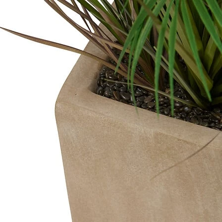 Palm Tree Wonj with Beige Ceramic Pot - Height 142 Centimeter