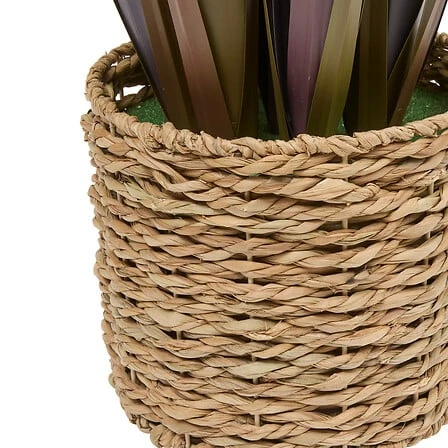 Zya Linen Bunch with Natural Fibres Pot - Height 122 Centimeter