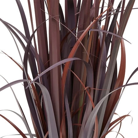 Zya Linen Bunch with Natural Fibres Pot - Height 122 Centimeter
