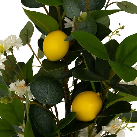 Gilda Lemon Bouquet Fruits and Flowers - Height 64 Centimeter
