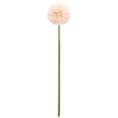 Pompom Stem - Height 60 Centimeter