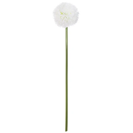 Pompom Stem - Height 60 Centimeter