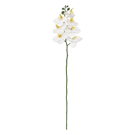 Gisèle Orchid Stem Assorted - Height 95 Centimeter
